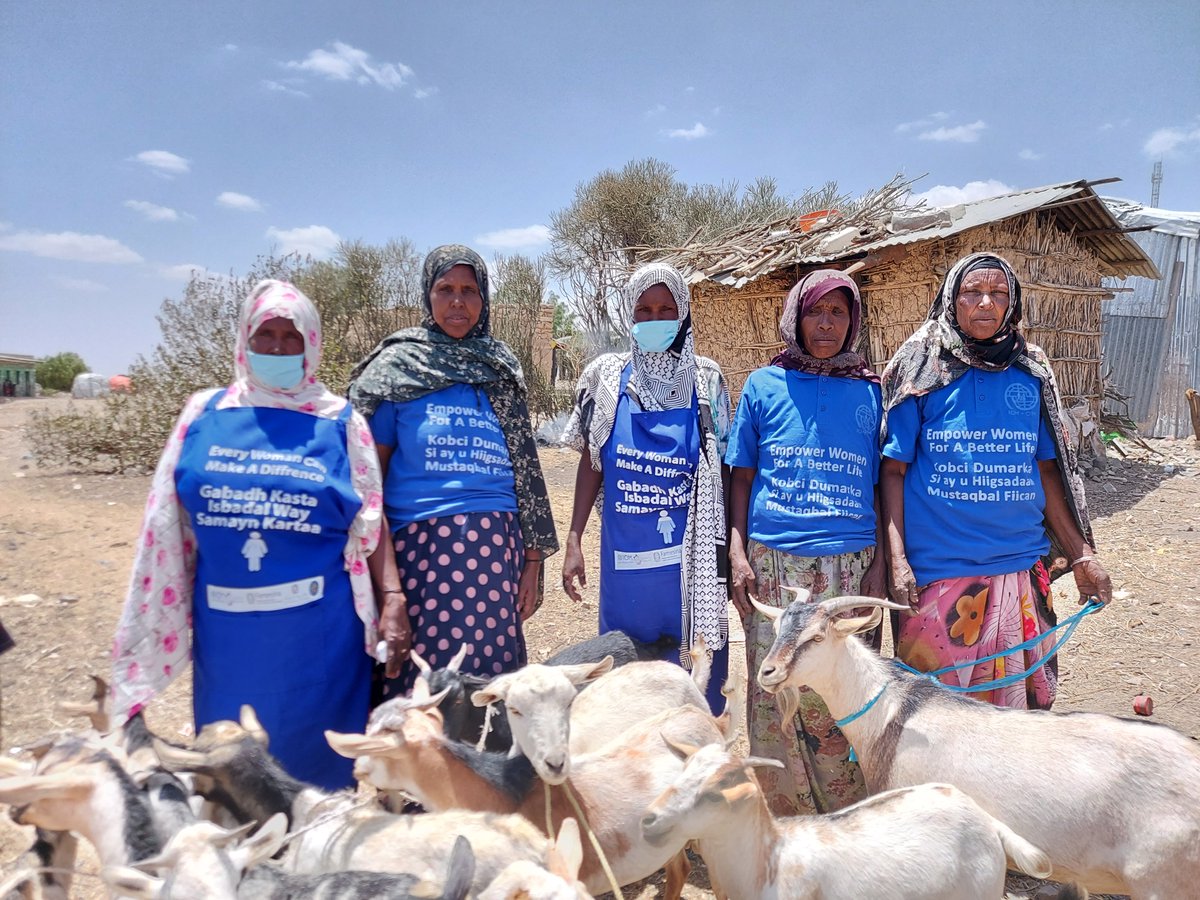 UNmigration's tweet image. ✔️Create work opportunities 
✔️Empower women  
✔️Strengthen communities  
 
In Ethiopia’s Oromia and Somali regions, IOM and partners implement projects to help internally displaced persons and female-headed households: bit.ly/3BdLXMV