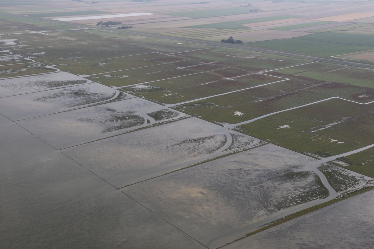 Natuur in Nederland is dichtbij. Samen met <a href="/GR_Landschap/">Het Groninger Landschap</a> en <a href="/ItFryskeGea/">It Fryske Gea</a> werken we aan de kwelders langs de #Waddenzee. Vroeger was dit landaanwinningswerk. Maar dat is lang geleden losgelaten voor meer afwisseling in de natuur! 💚😃 #NatuurlijkDichtbij | rijkswaterstaat.nl/water/waterbeh…