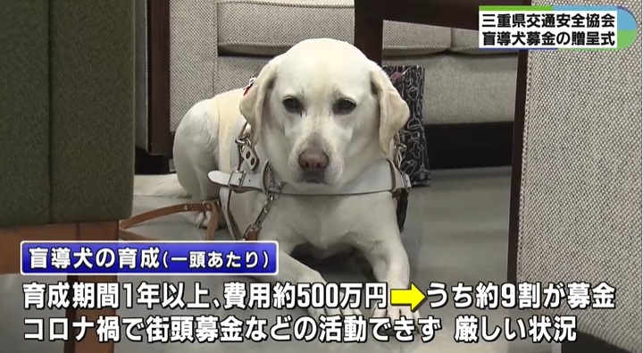 盲導犬育成 Twitter Search Twitter 盲導犬育成 Twitter Search Twitter