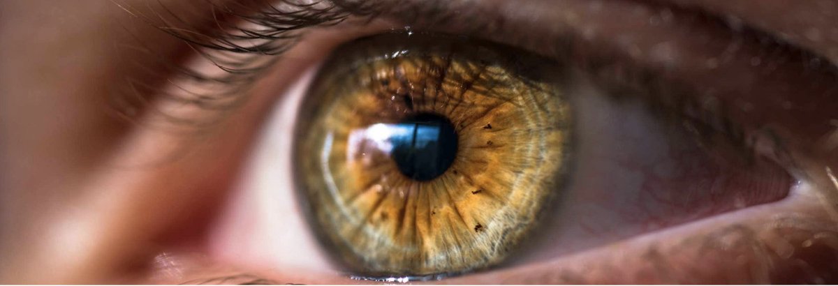 Sydney Science tweet media