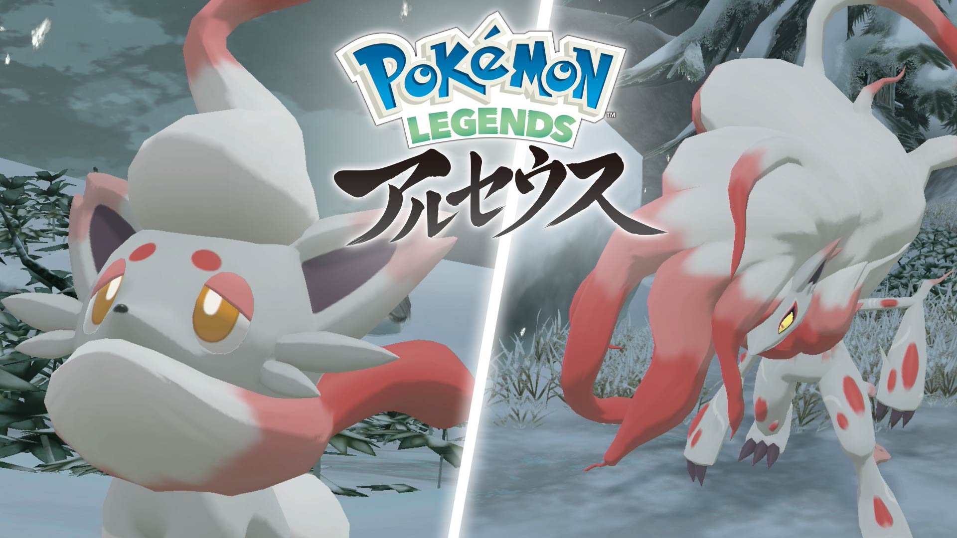 ポケモン公式ツイッター 22年1月28日 金 発売予定の Pokemon Legends アルセウス の最新映像が公開 ヒスイのすがたのゾロアとゾロアークが発見されたよ 新たな早期購入特典も公開されているから ぜひチェックしてね 好評予約受け付け中だよ