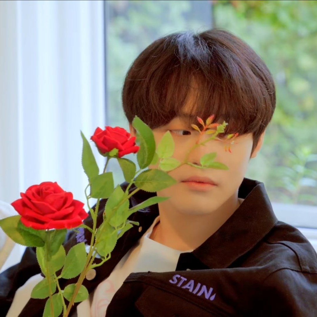 ㅤ
mint alois kurosaki — 2001
not new to rp &amp; not new acc
like &amp; rt to be mutuals ! 
ㅤ