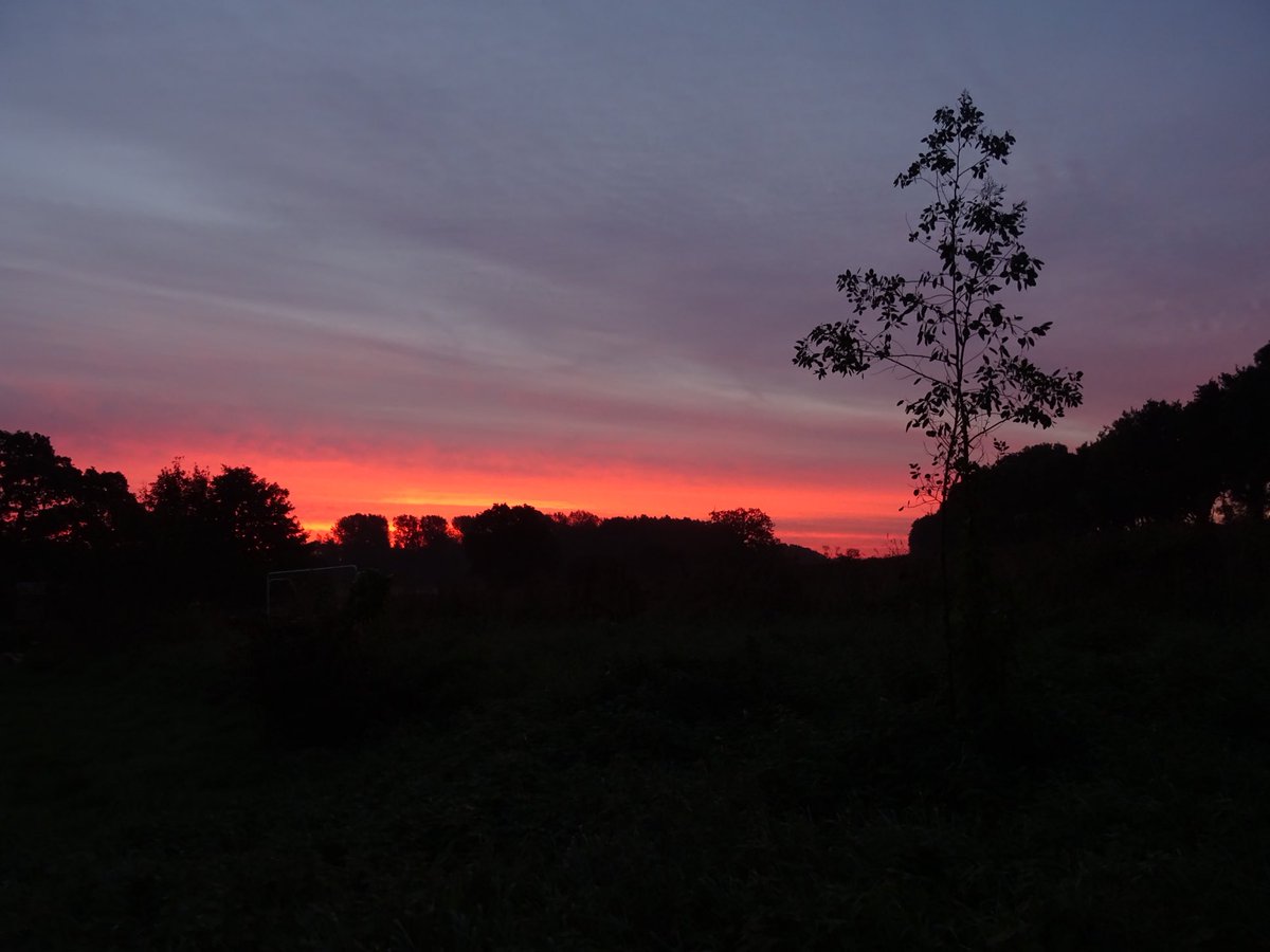 ⁦<a href="/BBCRadio3/">BBC Radio 3</a>⁩ #R3Twilight in Brampton, Norfolk