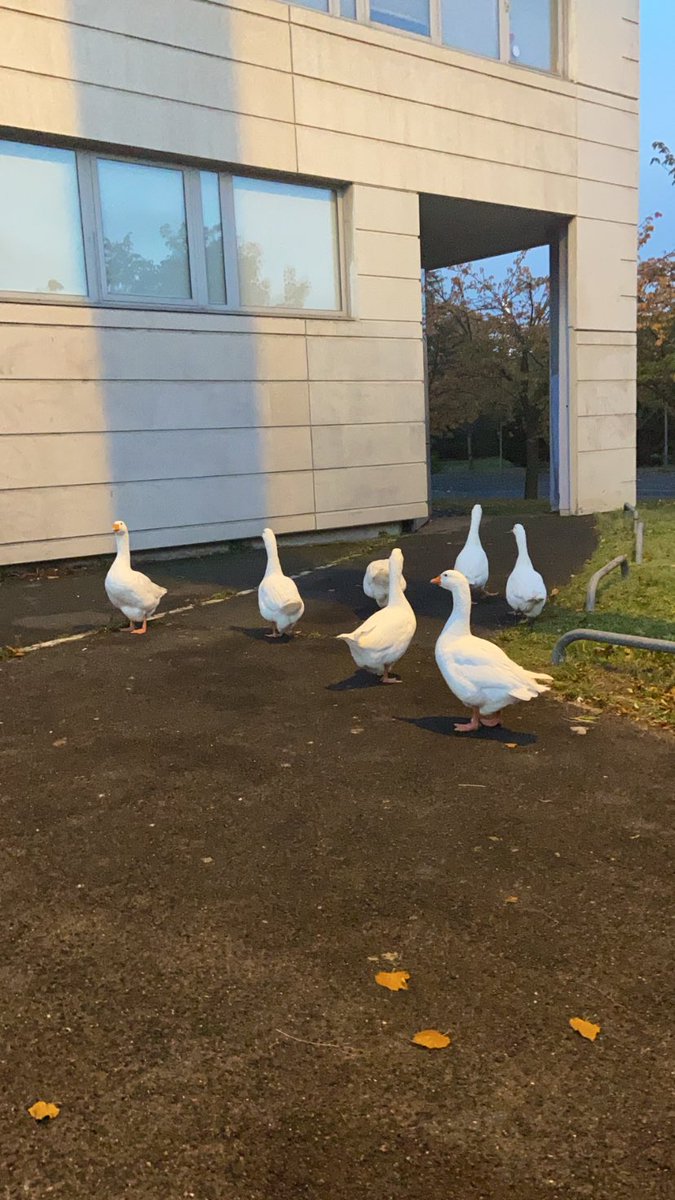 alss__a's tweet photo. Nanterre Université,mardi 8h10 https://t.co/5vXsafScfe