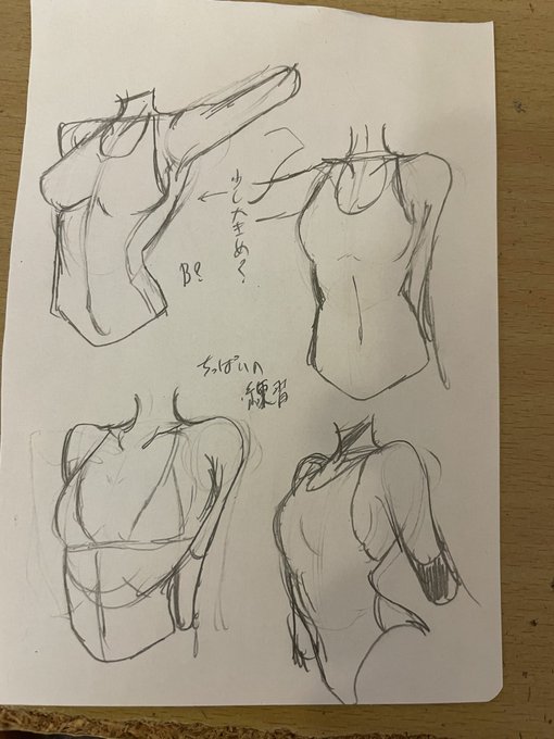 うおでっかとならないくらいの胸を描けるようになりたいという意思 