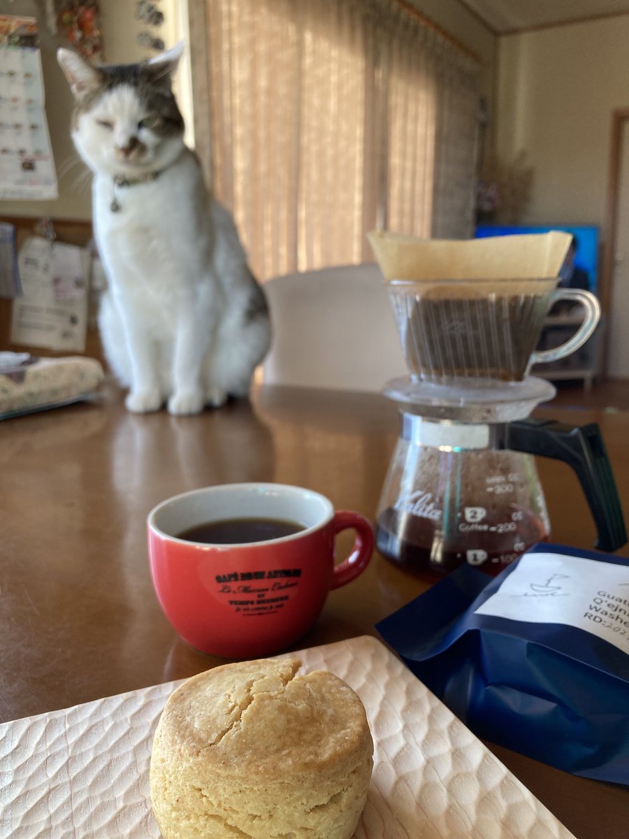 rihotan1102's tweet photo. 3時のおやつ #PetrinToyama #anoulabo #and_end_coffee
#えびすや https://t.co/Ao9aORdPKh