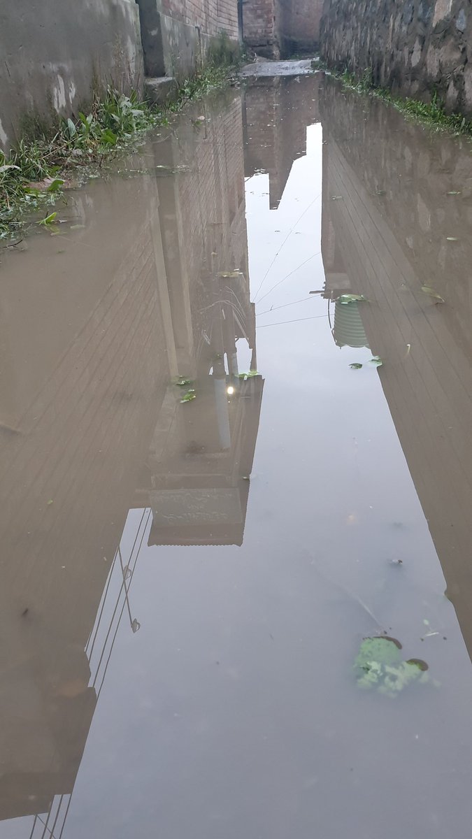 HidayatBukhari3's tweet photo. When should we expect installation of tiles of the lane. We don't ask for lasers but the way leads to graveyard and masjid. We managed going to masjid but burial is a priority @SMC_24x7 @TransparencyJK @imrankehwah @JKgrievance @OfficeOfLGJandK @AtharAamirKhan @Junaid_Mattu https://t.co/eVhbByvgjM