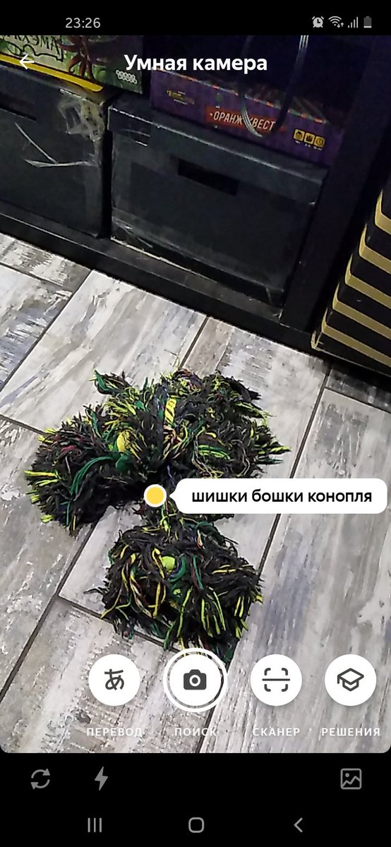 JonnyShep18's tweet photo. Яндекс определил игрушку собаки как нечто запрещённое https://t.co/lZc3VrbuqK