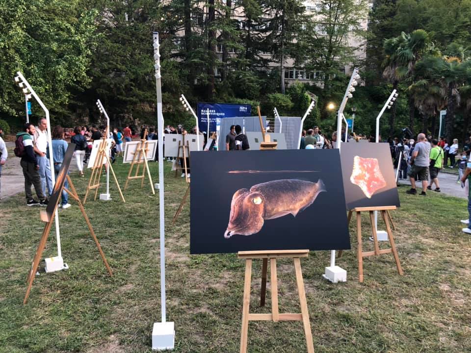 #aucop #aucoppartner #evenement #nice #universitecotedazur #soirée #NuitChercheurs #eclairage #chateau #oxo #exposition #innled #scenographie #scene #videoprojection #deskdj #desk #prestatairetechniqueetdeco #audiovisuel #nuiteuropeennedeschercheurs #aucopnice @UCAcsti