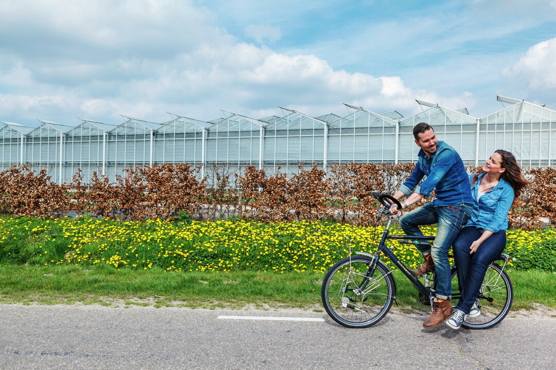 ABP stopt met beleggen in fossiele brandstoffen en zet verder in op hernieuwbare energie. Lees meer: 🌍➡️ abp.nl/over-abp/actue…