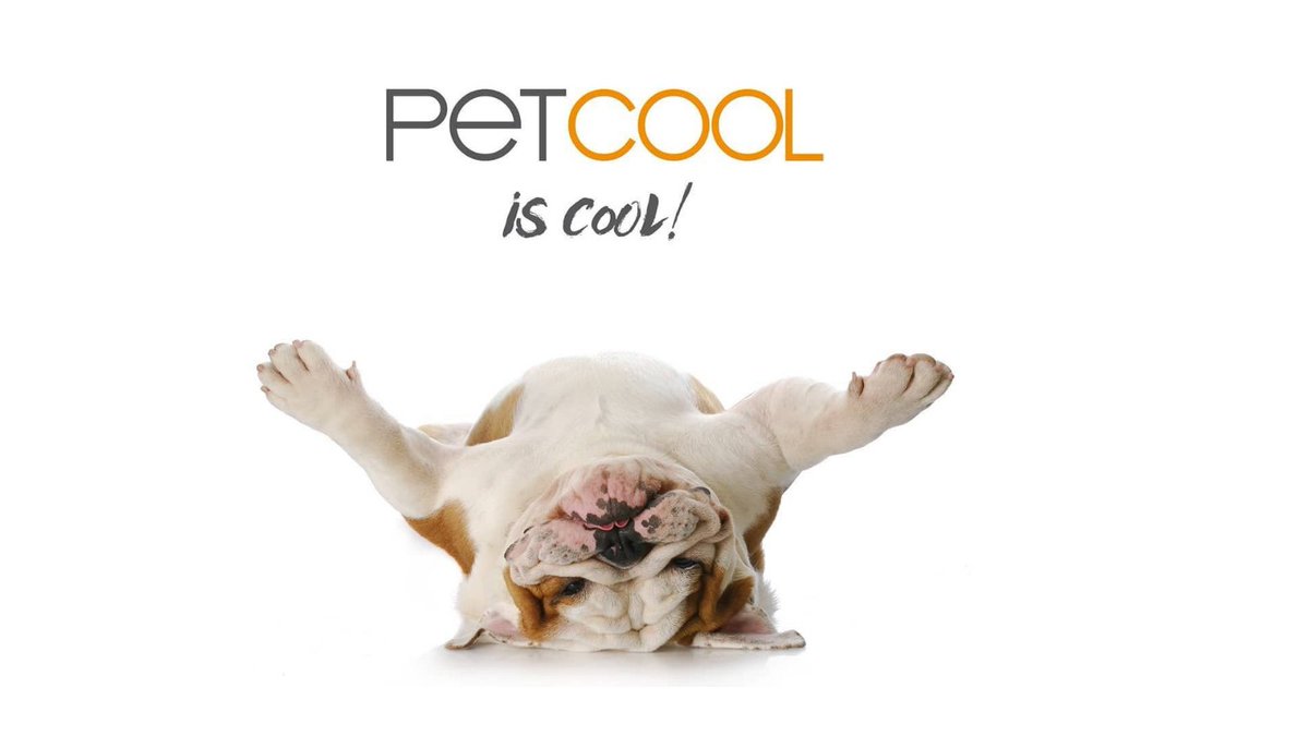 When mealtime looks, smells and tastes delicious.
 
PetCool range of wet food is simply irresistible!