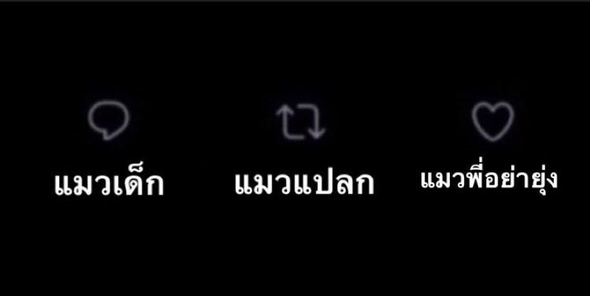 คอนเท้นเอาใจมัมหมี