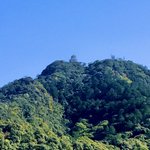 AKIRA YAMASHITA アキラパンダまん🐼🇺🇦🇯🇵のツイート画像