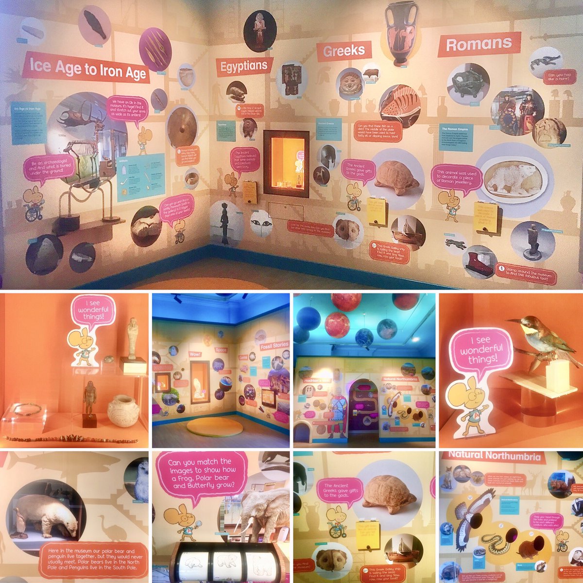 The redesign of <a href="/GNM_Hancock/">Great North Museum: Hancock</a> permanent under 5s ‘Mouse House’ is the largest creative project I’ve been involved with. Surreal to see text once scribbled in my notebook displayed on the walls. Now reopen to the public, I hope under 5s approve of the makeover &amp; enjoy exploring!