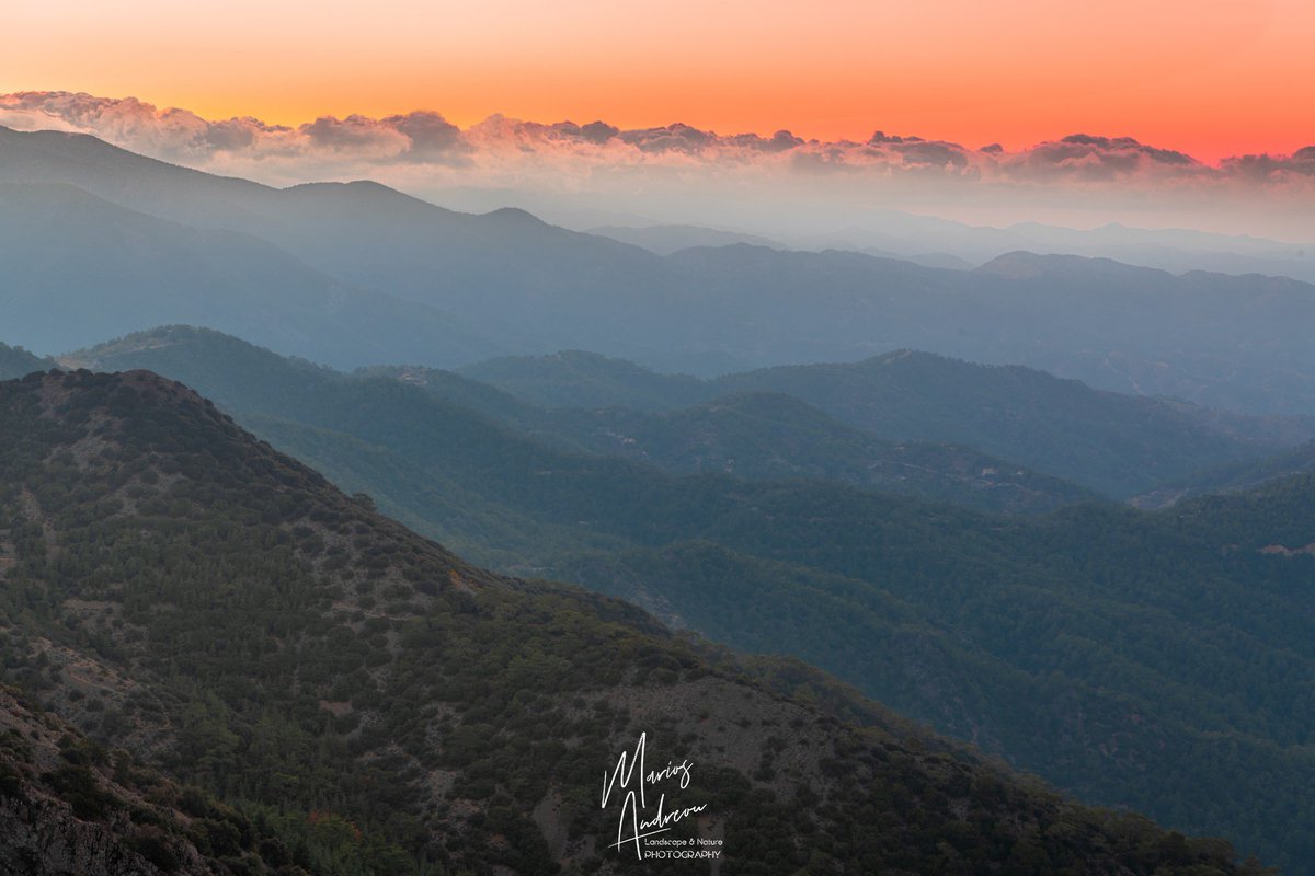 andreou__marios's tweet photo. Adelfoi Forest - Cyprus

#madari #cyprus🇨🇾 #nature #naturephotography #autumn #autumncolors #cloudporn #clouds #mist #sunsetphotography #sunset #sunsetlovers #instasunsets #goldenhourphotography #goldenhour #goldenhourlight

For more photos visit https://t.co/XKUGDHsEJb https://t.co/J2w7mrLluR