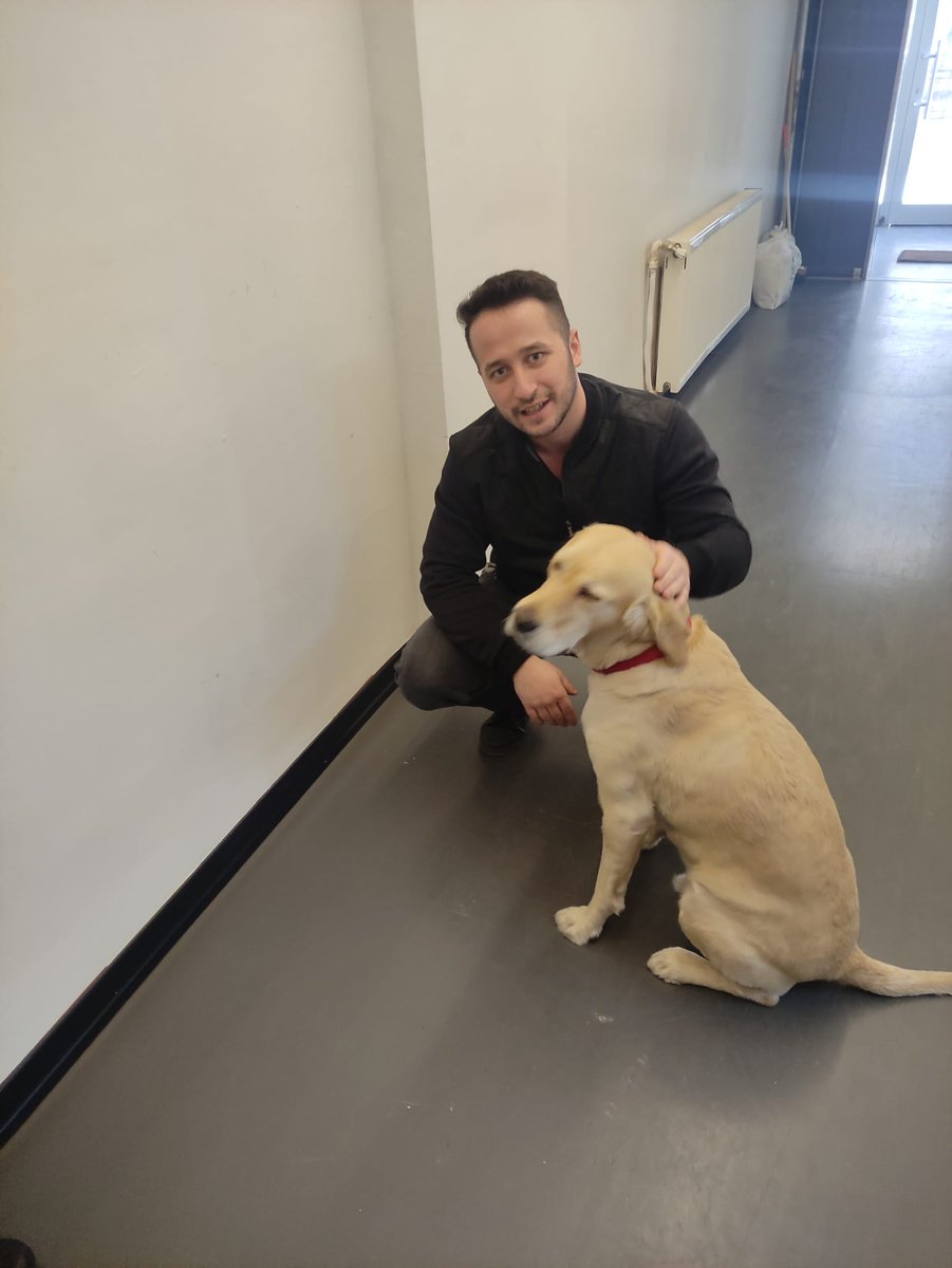 pythpo's tweet photo. @Shibtoken SHIBA INU AND I https://t.co/ygH5KIwUvh