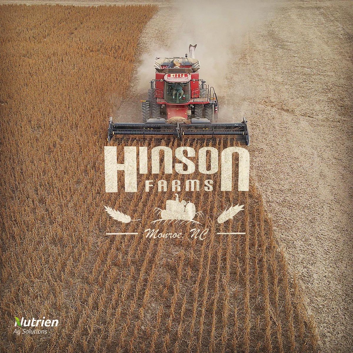 Geoff__Reeves's tweet photo. Next up for #Harvestweek Photos:
Hinson Farms | Randy K Baucom Farms
#harvest2021 #fieldtoyield #leadingthefield https://t.co/qS74ahMr3l
