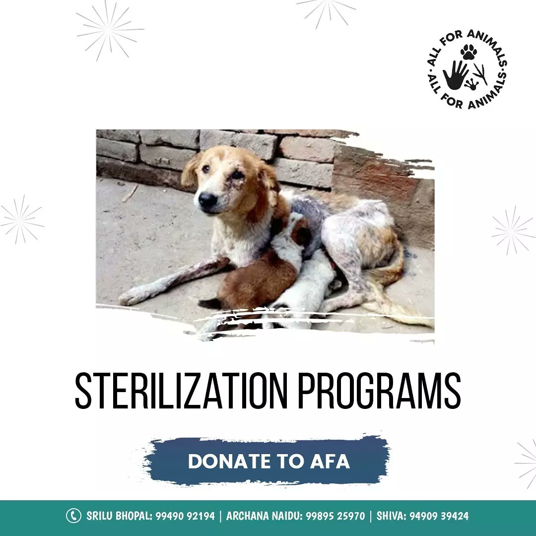 AllForAnimalsF1's tweet photo. 🐶Sterilization programs: Sterilizing street dogs is the only humane, legal and effective way to control stray population and safeguard both their wellbeing and ours. 

@Archi0811 
@Voiceofanimals1 

#Diwali #Diwali2021 https://t.co/jJIKGs5qnH