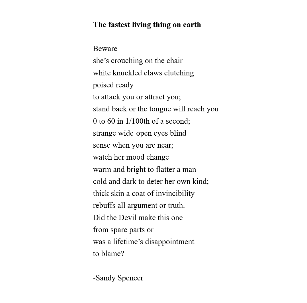For #TopTweetTuesday I hope you enjoy the fantastically cunning 'The fastest living thing on earth' by one of our Practising Poets, Sandy Spencer.
Written in response to @ButchersDogMag's prompt: begin your poem with a warning.

🦎🪑🧿

 #poetry #newpoem #IARTG @DorynHerbst