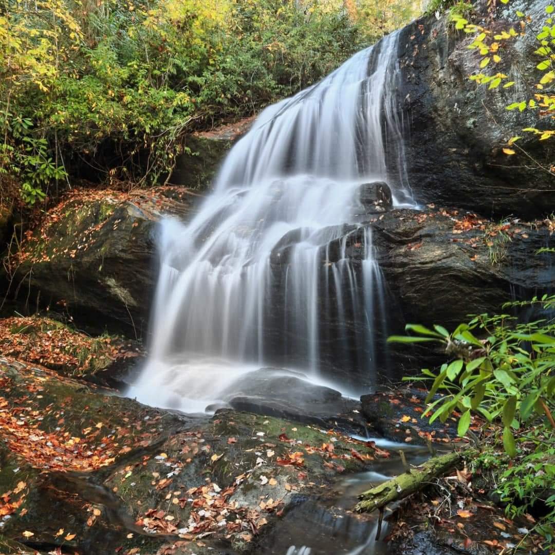 “A waterfall cannot be silent, just as wisdom. When they speak, the voice of power speaks.”....💚💛🖤 

#nature #waterfall #life 🧡 💚