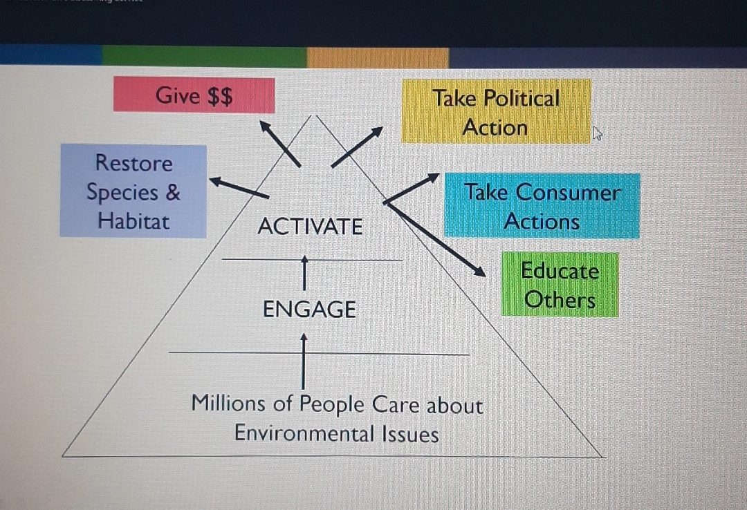 Afra_Rahbi's tweet photo. What is the education we need for the world we want?
Knowledge, skills, and dispositions and moving people to take positive action and become more engaged in civic life. #JudyBraus 👏🌟
#AadyaJoshi #KarunaSingh @kaulnishu87 #education #environmentalEducation #climate #SDGs https://t.co/76JX0mHIx6