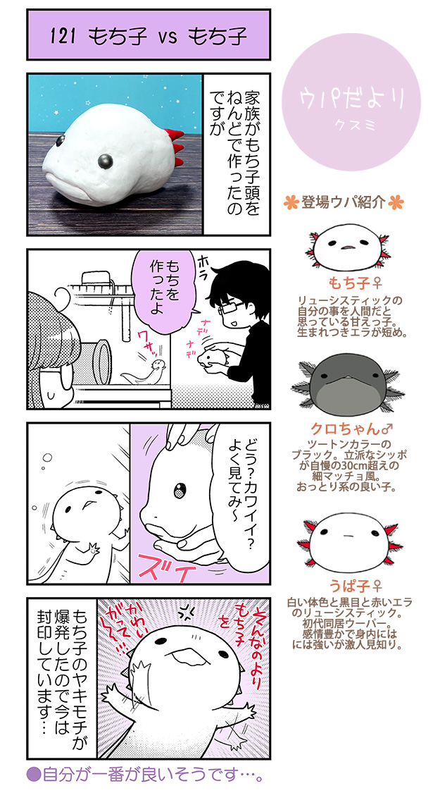 ウパだより クスミ ウーパールーパー4コマ Lineスタンプ A Twitter ウパだより121 ねんどで作った もち子頭 を見た もち子 本物 の反応は ウパだより ウーパールーパー T Co Aykygp12gr Twitter ウパだより クスミ ウーパールーパー4コマ Lineスタンプ A Twitter ウパだより121 ねんどで作った もち子頭 を見た もち子 本物 の反応は ウパだより ウーパールーパー T Co Aykygp12gr Twitter