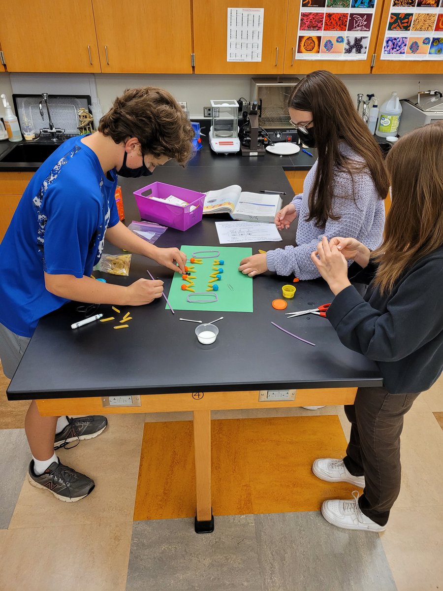 Lisa Sequeira tweet media