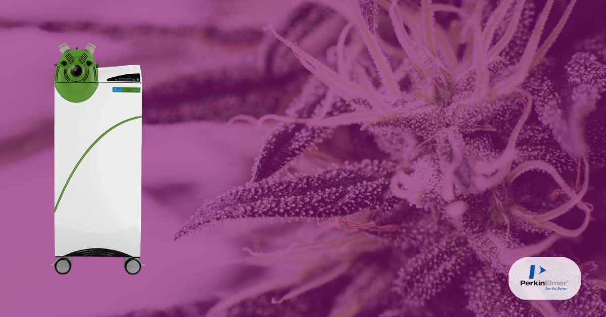 PKICannabis's tweet photo. PerkinElmer #QSight 420 MS/MS allows you to measure some of the more challenging pesticides in cannabis matrix such as chlorfenapyr, fipronil, fludoxinil, acequinocyl, captan, methyl parathion and abamectin thanks to a dual ionization ESI and APCI source. https://t.co/LIakVUNA8f https://t.co/d4fH77WM5C