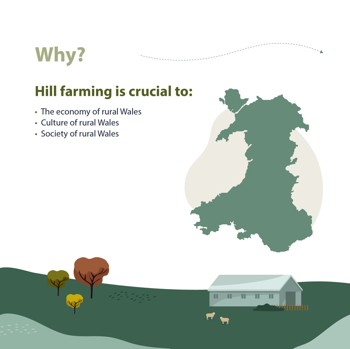 RMDPcymru's tweet photo. Over 50 flocks from all parts of Wales are now part of the #HillRamScheme
But what does the scheme do?
Learn more below or head over to the website: https://t.co/2wLY2cDW2p

#PerformanceRecording #RDP #HillRam #HillFlock https://t.co/enzj2U5CeQ