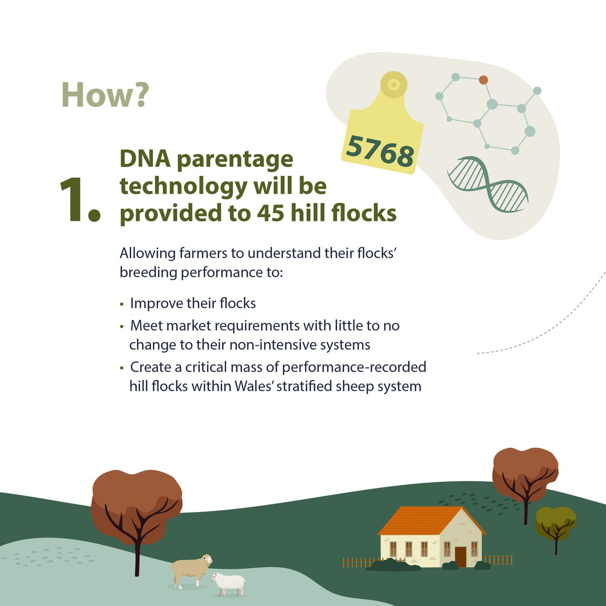 RMDPcymru's tweet photo. Over 50 flocks from all parts of Wales are now part of the #HillRamScheme
But what does the scheme do?
Learn more below or head over to the website: https://t.co/2wLY2cDW2p

#PerformanceRecording #RDP #HillRam #HillFlock https://t.co/enzj2U5CeQ