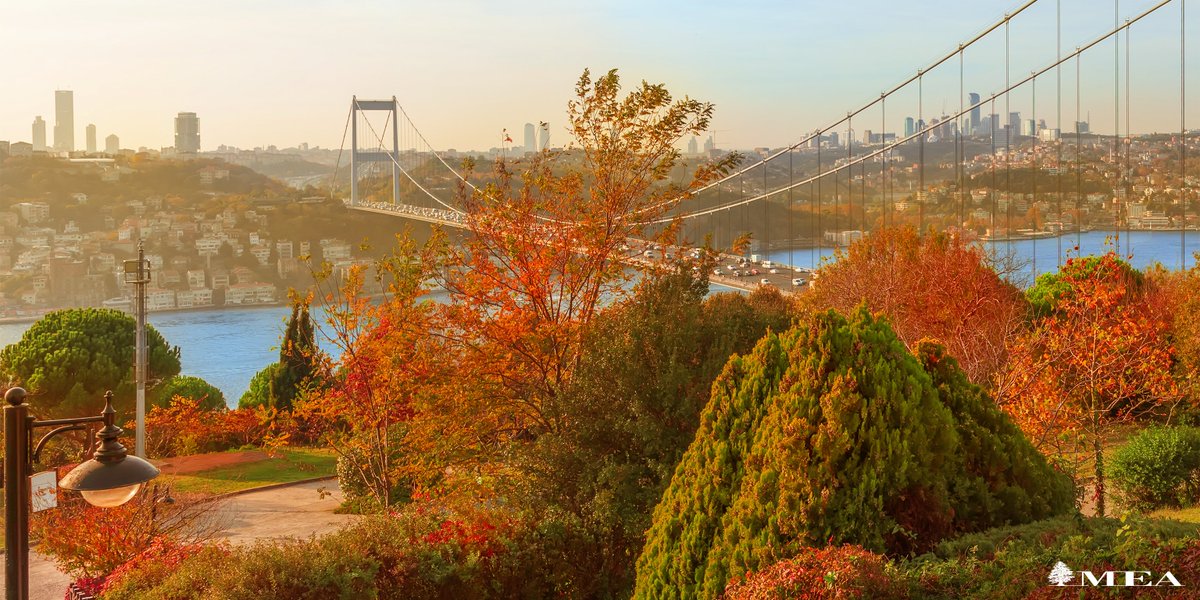 MEAAIRLIBAN's tweet photo. Fall in Istanbul 🍁🍂🌧️

#MEA #FlyMEA #Istanbul https://t.co/4epwaRmpxS