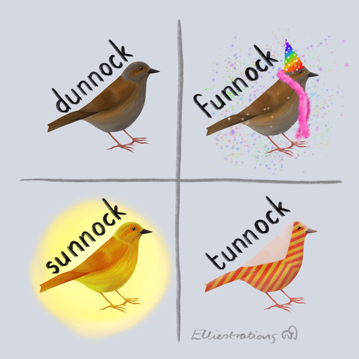 An underrated bird… 
#dunnock #bird #Tunnocks #getbirding @getbirdingpod @RSPBScotland