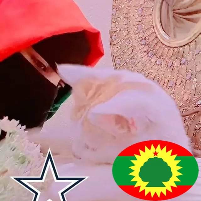 obsunu's tweet photo. #NewProfilePic https://t.co/Q9whMGbvBW