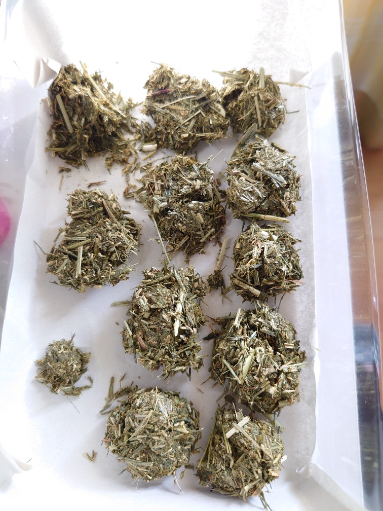 morino_b08's tweet photo. 牧草クッキー作り3回目
成形は相変わらずだけど今回はボール型も作ってみたら意外と良かったから次からはこれで統一しようかなw https://t.co/saHXPii5wF