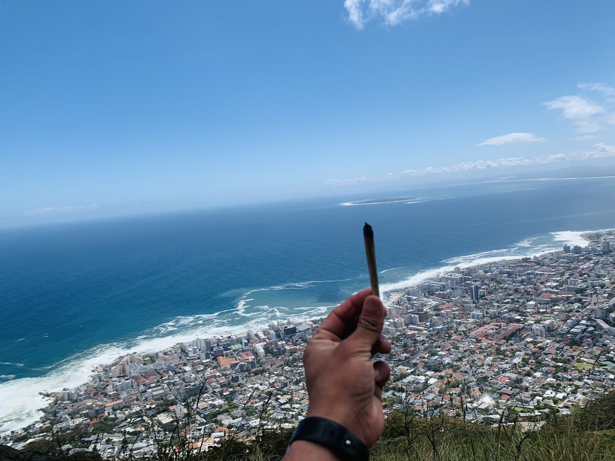 St0nerAlert's tweet image. Dam it’s been a minute, I hope my Twitter family is Good!