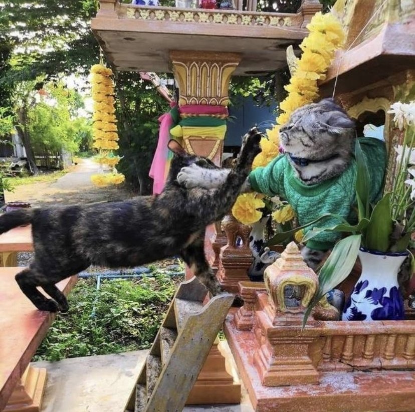 BipBipBip39's tweet image. ที่มาของคำว่า ต่อสู้กันในชั้นศาล