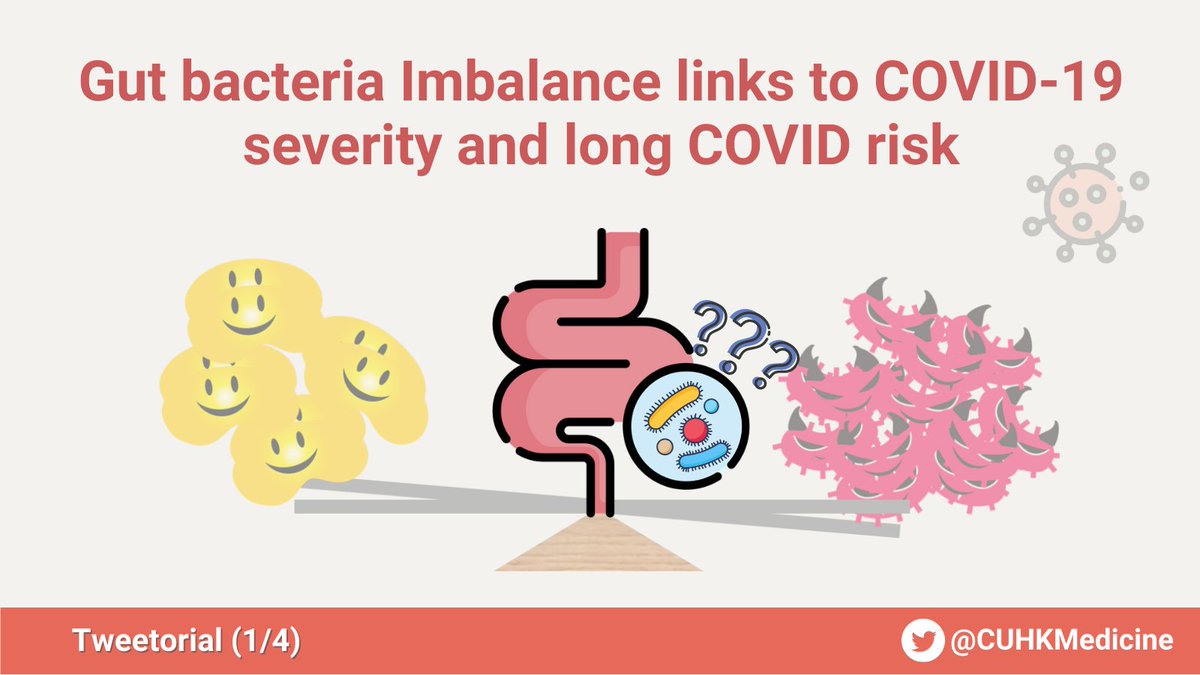 Our study finds new evidence for link between gut #microbiome and #COVID19 severity. 🦠Microbiome imbalance may influence #LongCOVID Risk (1/4)

📖Full article in <a href="/Gut_BMJ/">Gut Journal</a>: bit.ly/2LY5InV 

🔽Major Findings🔽

Follow👉<a href="/CUHKMedicine/">CUHK Medicine</a>