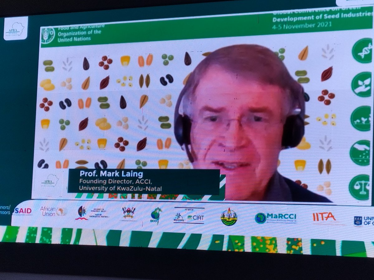 There's a need for a new generation of plant breeders in Africa. We need a vision, a concrete plant and money. #APBAConf2021