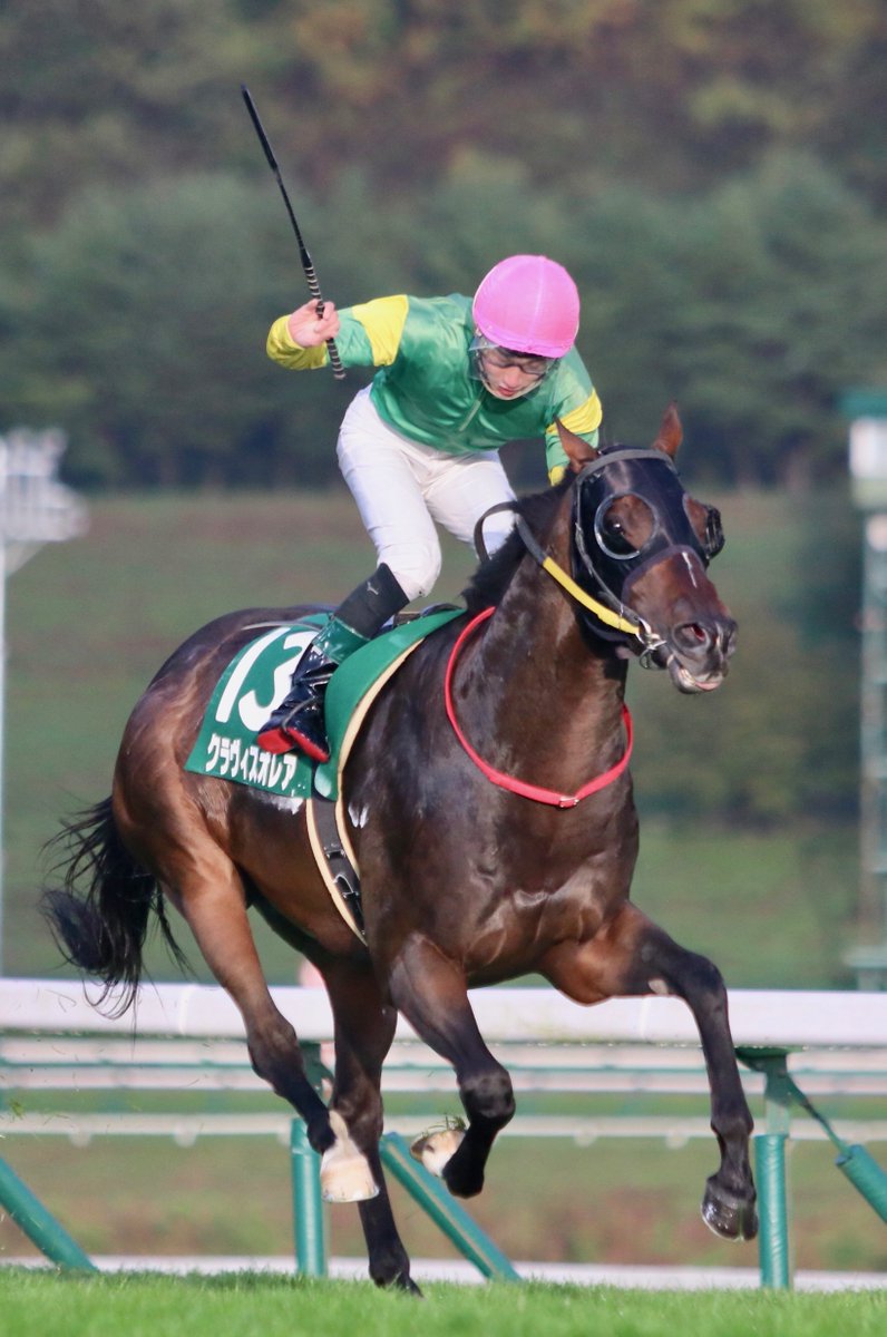 芝1000mで7馬身差は異次元すぎるんよ。道営勢のパワーが光ったOROターフスプリントでしたわ。岩本騎手も「絶対に先頭へ」という決意に満ちたダッシュ指示。クラヴィスオレア自身もそれに応え、同じくハナを目指したツーエムマイスターのさらに上をいくダッシュ力、そして加速がすばらしかったです 