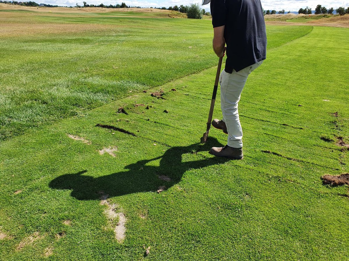 Secalflor Sur tweet media