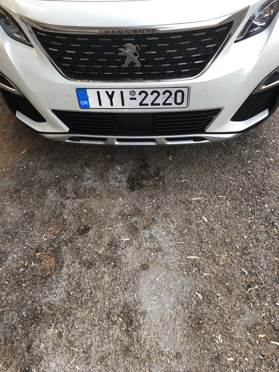 VasilisTsiartas's tweet image. Σήμερα το πρωί το αυτοκίνητο μου δεν ήταν στη θέση του. Έπεσα θύμα κλοπής. Αν κάποιος-α το δει ας με ειδοποιήσει. Peugeot 3008 είναι το μοντέλο.