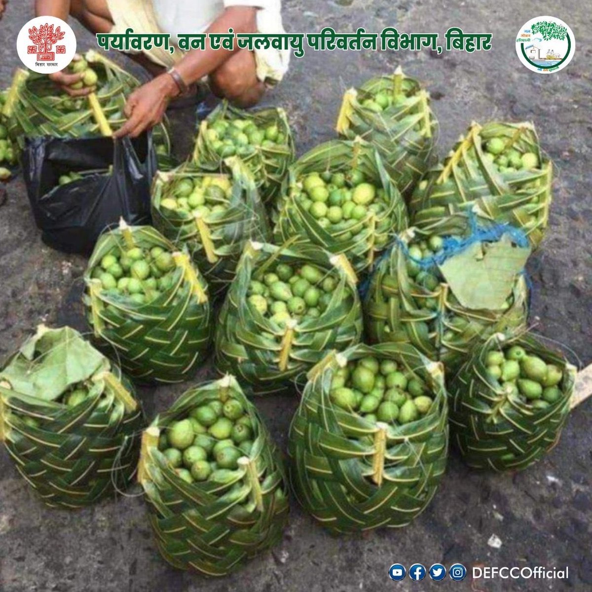 These leaf baskets do provide better alternatives to plastic bags.

Courtesy: @DEFCCOfficial 

#SayNoToPlastics #GoGreen
#UseEcoFriendlyProducts #sustainability #SaveEarth @officecmbihar @tarkishorepd @byadavbjp @UNEP