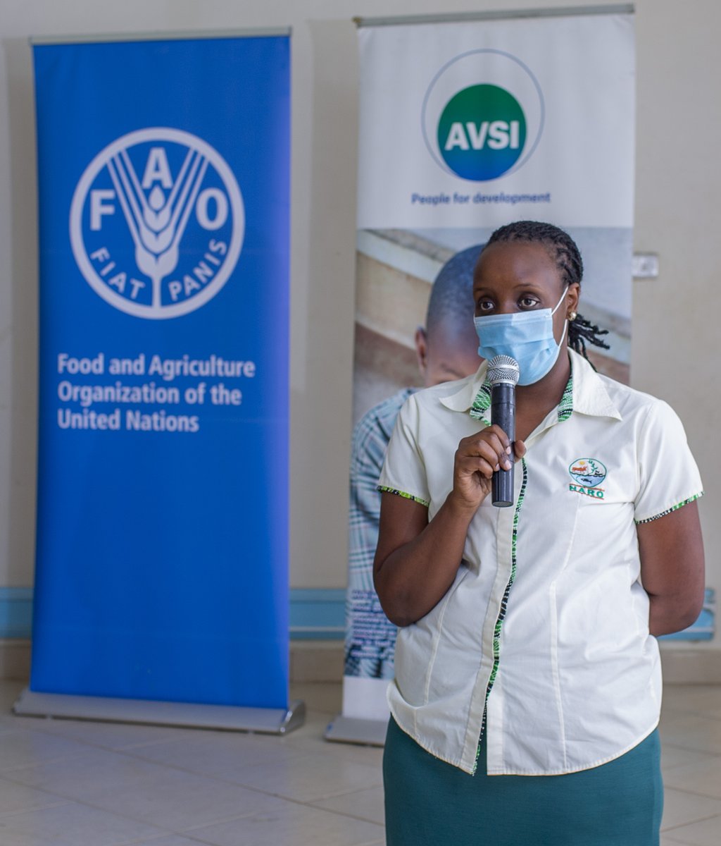 AVSIUganda's tweet photo. Youth should take up agriculture as a business because Uganda is a highly arable nation. They have the opportunity to feed the world. NARO is here to support farmers - Susan Nimusiima @FAOUganda @MAAIF_Uganda @FondazioneAVSI  @NLinUganda @moglsd_UG  #TheSAYproject #YouthAtHeart https://t.co/LCAVyEGjL8