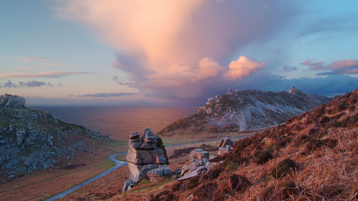 North Devon tweet media