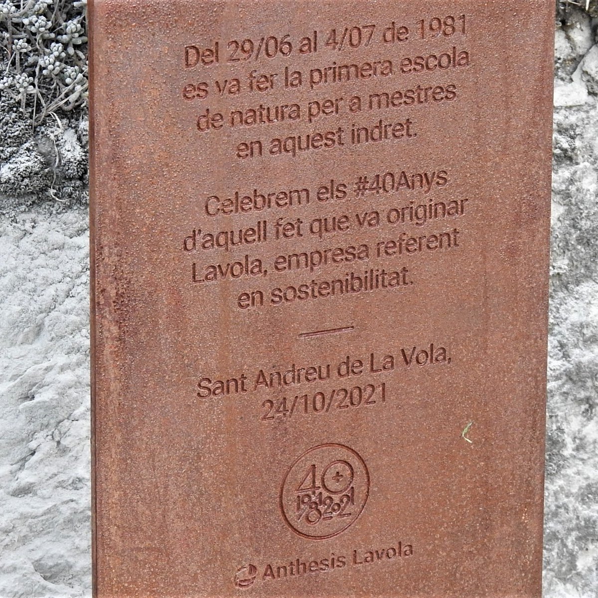 Anthesis ESP tweet media
