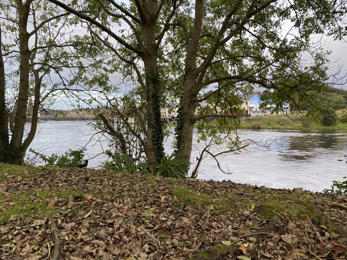 Grateful for the opportunity to recharge.