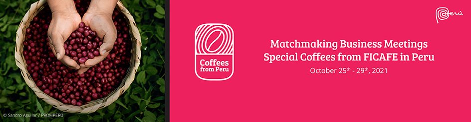 Desde ayer y hasta el jueves estaremos celebrando la Rueda virtual de negocios de #CafésdelPerú - FICAFÉ. Empresas de diversas partes del mundo tomarán contacto con caficultores peruanos
Conoce más en👉peru.info/es-pe/cafesdel…
#SuperFoodsPerú #CafésDelPerú