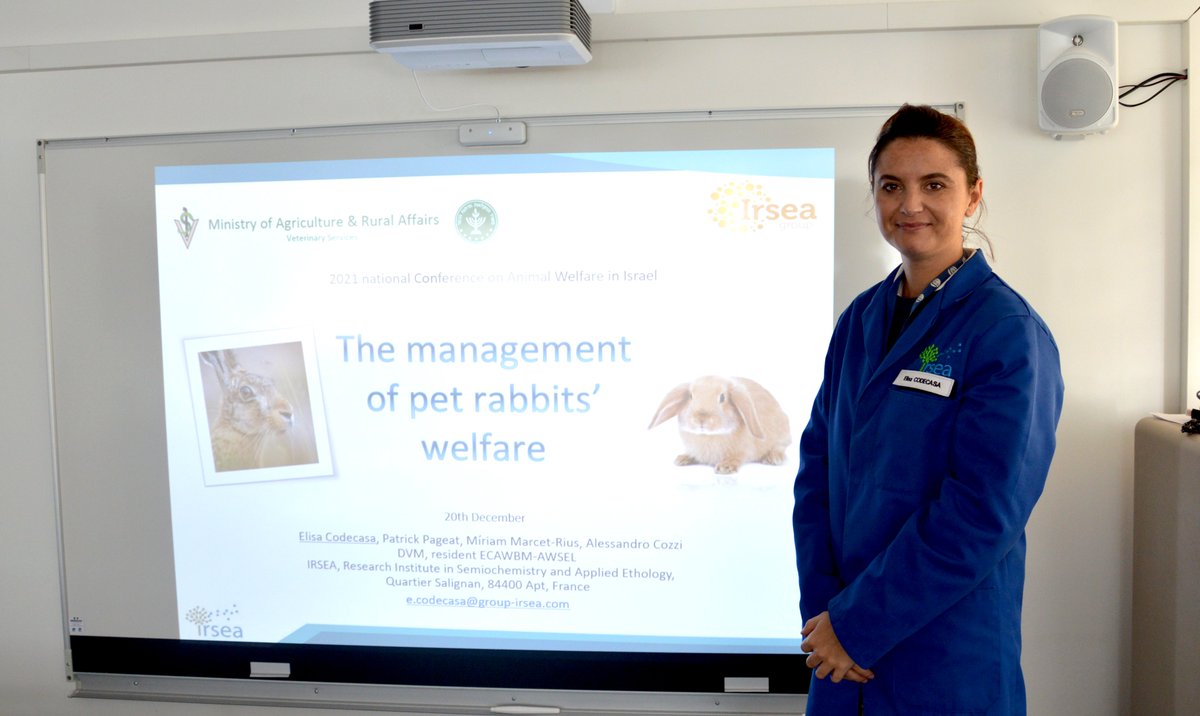 GroupIRSEA's tweet photo. Elisa Codecasa, ingénieure à l'IRSEA a présenté une conférence lors du " National Conference on Animal Welfare" en Israël.
Elisa travaille sur la phéromone apaisante présente dans le #SecureBunny de SIGNS et comment elle améliore les soins et l'adaptation à un environnement. https://t.co/XWPcZMdIv4