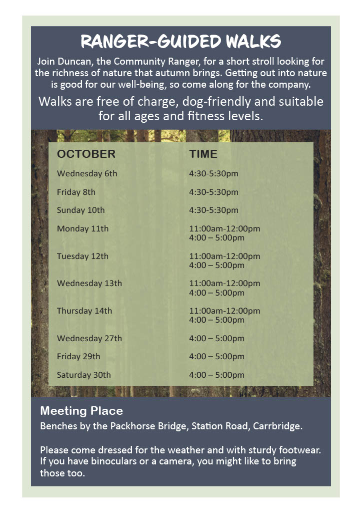 cairngormsnews's tweet photo. Join Community Ranger Duncan in #Carrbridge this Wee Walks Week for a wee walk through the woods.

#WeeWalksWeek #CairngormsTogether https://t.co/0ghTSOXyrg