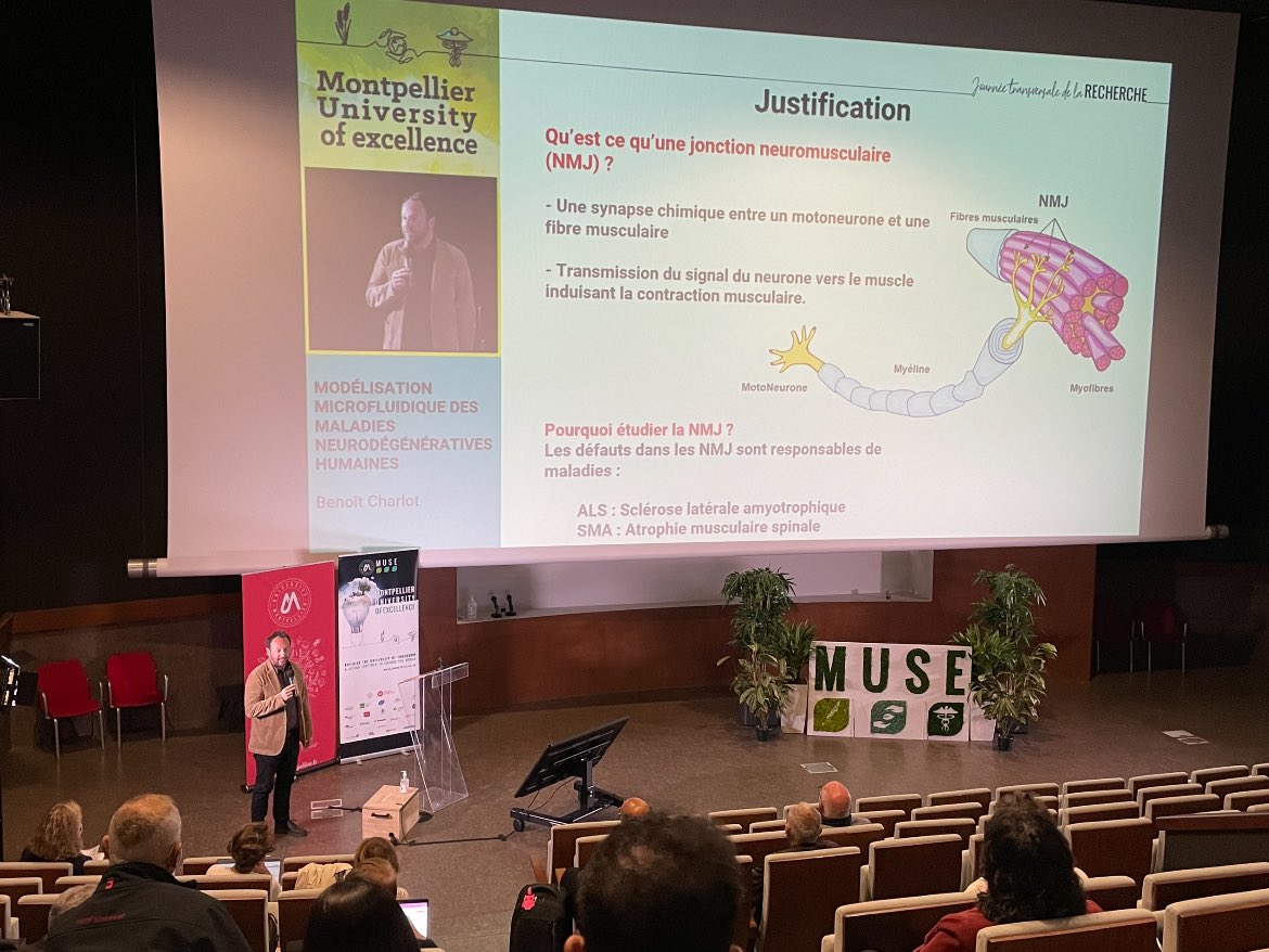Benoit Charlot <a href="/umontpellier/">Université de Montpellier</a> <a href="/CNRS_OccitaniE/">CNRS Occitanie Est</a> <a href="/IESMontpellier/">IES</a> présente le projet de modélisation microfluidique des maladies neurodégéneratives actives concernant la jonction neuromusculaire… au croisement des pôles de recherche <a href="/PoleMipsMUSE/">Pôle MIPS</a>, <a href="/PoleBioSante/">Pôle de recherche Biologie-Santé</a> et <a href="/chimiebalard/">Pôle Chimie</a>